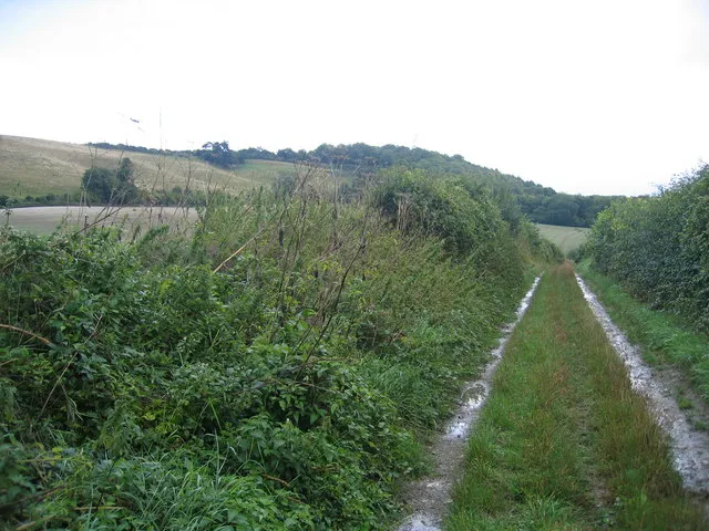 Roads Worn Holy: Five Pilgrimage Routes That Quietly Built the Modern World